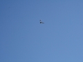 ogarlastflight0018