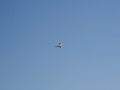 ogarlastflight0022