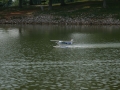 billcessna1