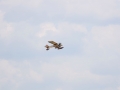 oldtimeflyby