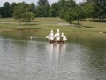 jenfloatpicssmall0069