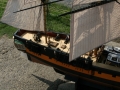 rays-ship0004