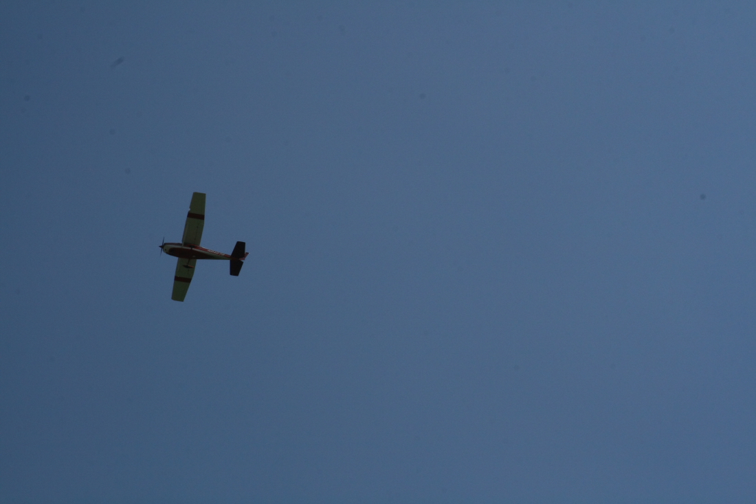float-fly-20090048