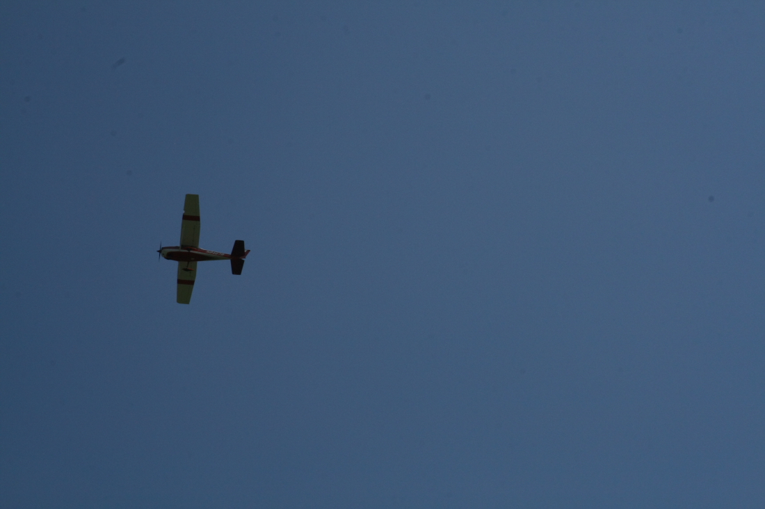 float-fly-20090049