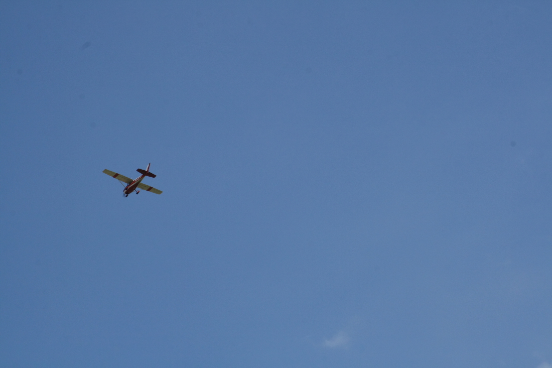 float-fly-20090050