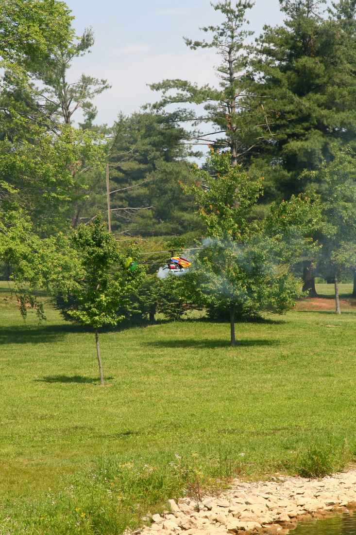 float-fly-20090052