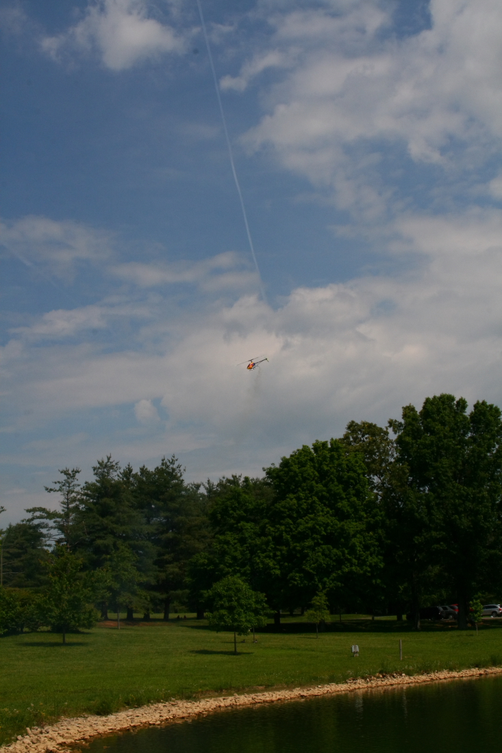 float-fly-20090055