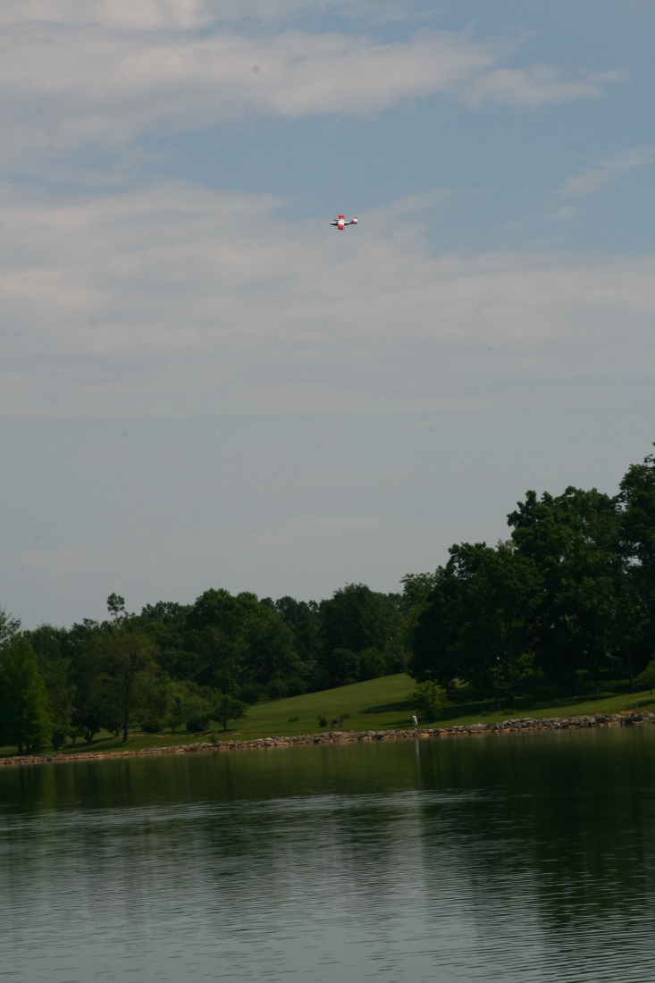 float-fly-20090066