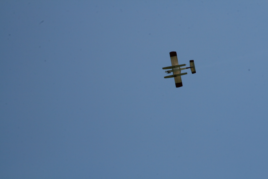 float-fly-20090077