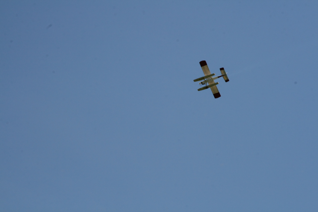 float-fly-20090078