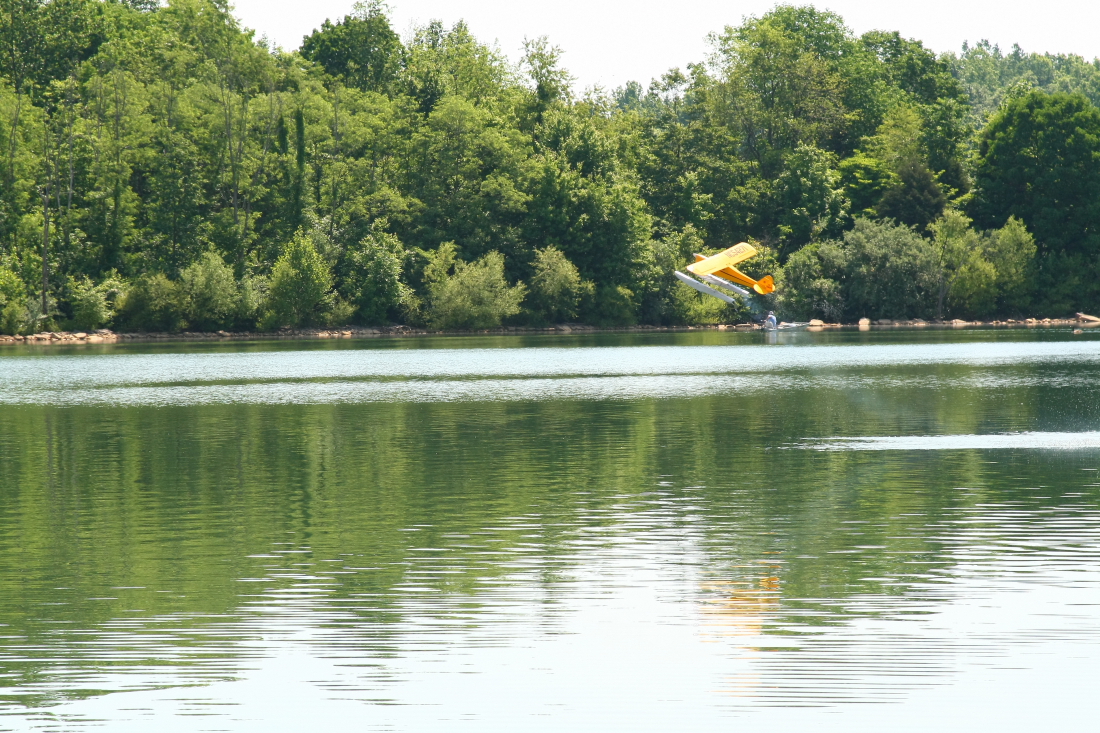 float-fly-20090087