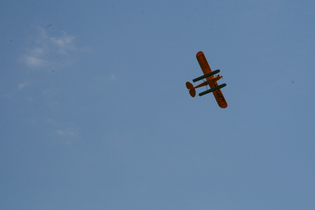 float-fly-20090094