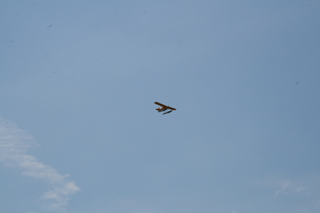 float-fly-20090097
