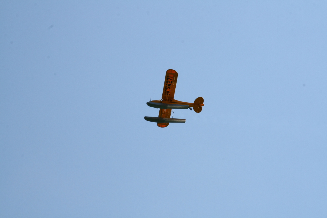 float-fly-20090099