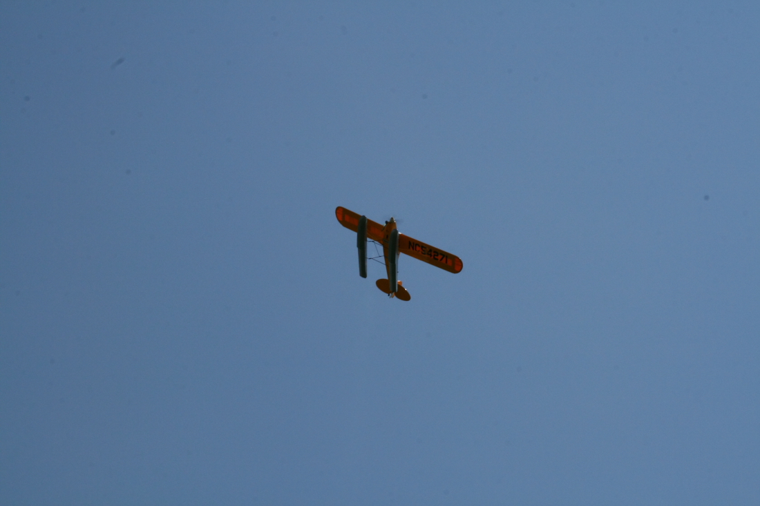 float-fly-20090101
