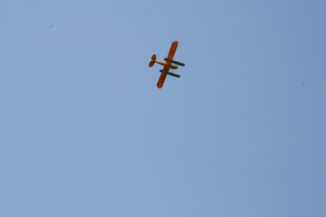 float-fly-20090104