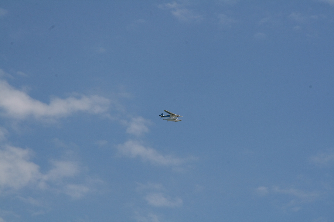 float-fly-20090128