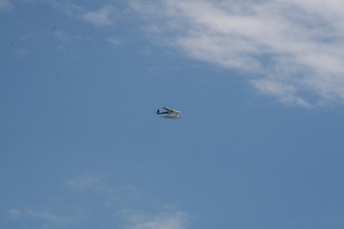 float-fly-20090129