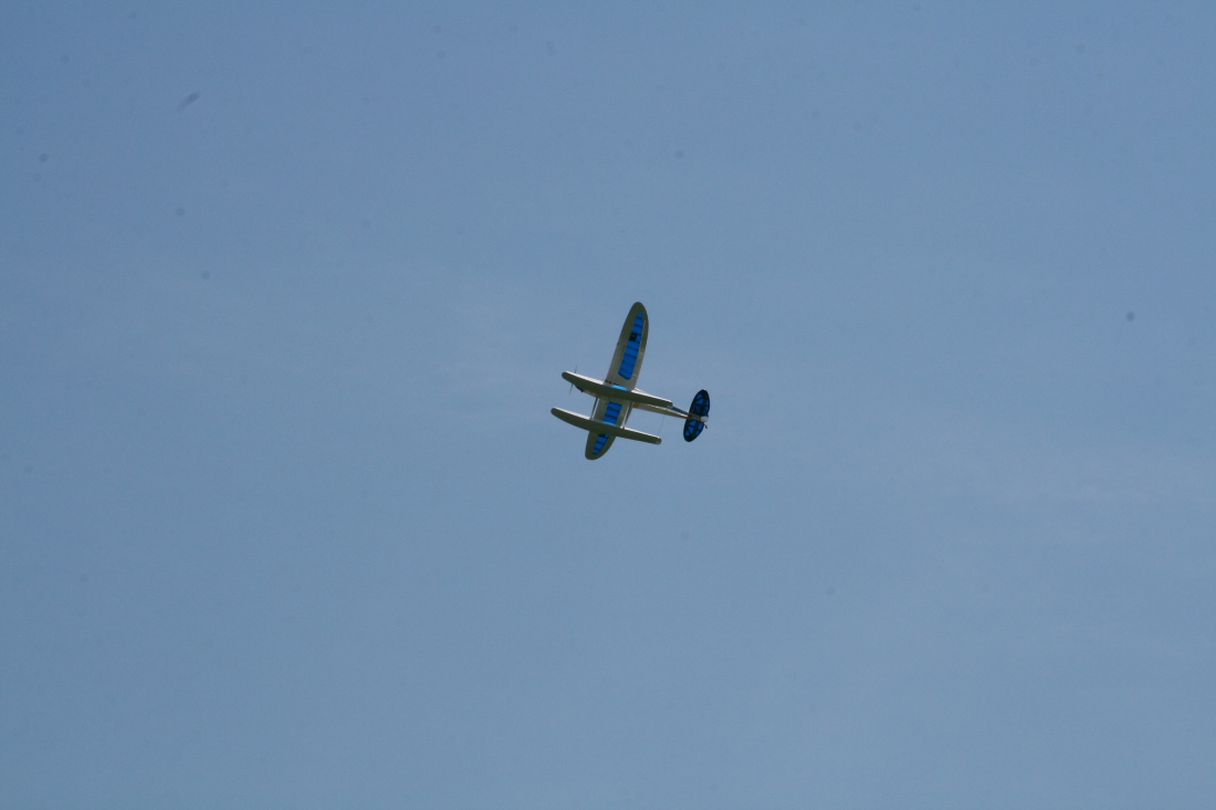 float-fly-20090134