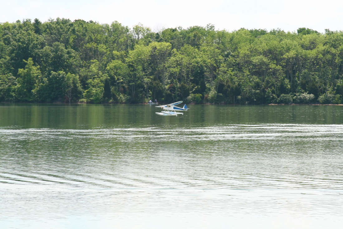 float-fly-20090137
