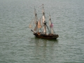 float-fly-20090011