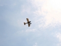 float-fly-20090017