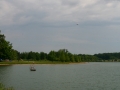 float-fly-20090029