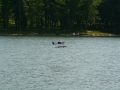 float-fly-20090033