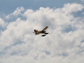 float-fly-20090034