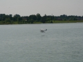float-fly-20090035