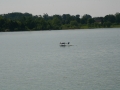 float-fly-20090036