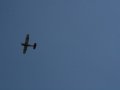 float-fly-20090048