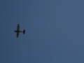 float-fly-20090049