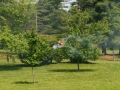 float-fly-20090052