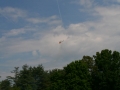 float-fly-20090055