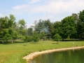 float-fly-20090056