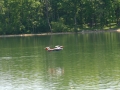 float-fly-20090062