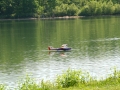 float-fly-20090063