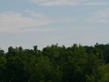 float-fly-20090065