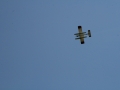 float-fly-20090077