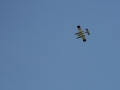 float-fly-20090078