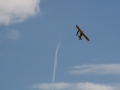 float-fly-20090093