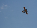 float-fly-20090094