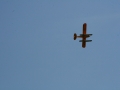 float-fly-20090095