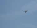 float-fly-20090096