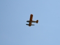 float-fly-20090099