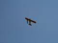 float-fly-20090101