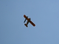 float-fly-20090102