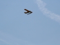 float-fly-20090103