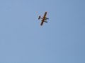 float-fly-20090104
